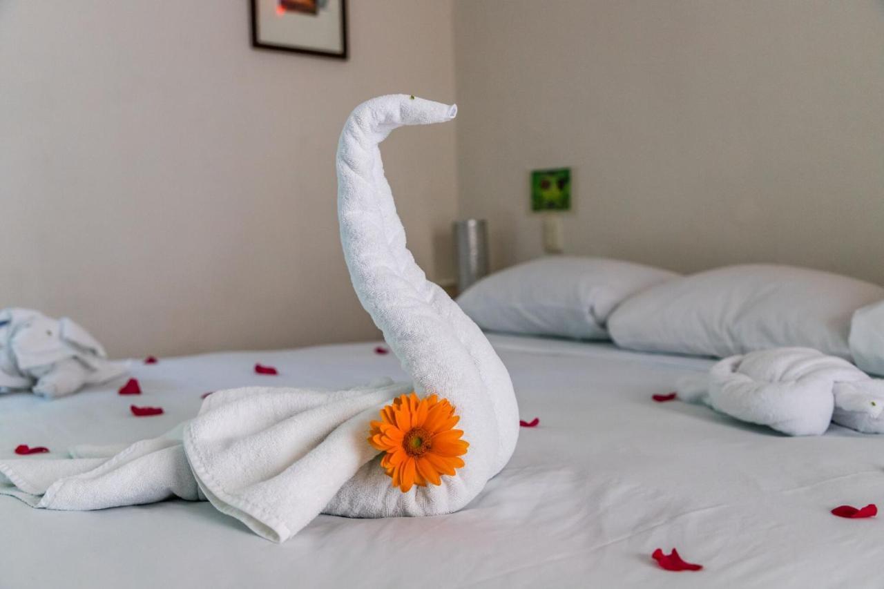 Moonshine Hotel Playa del Carmen Exteriér fotografie