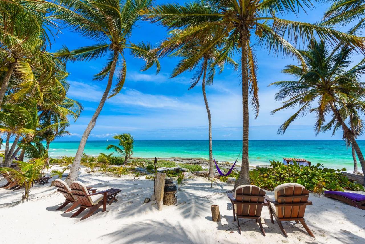 Moonshine Hotel Playa del Carmen Exteriér fotografie
